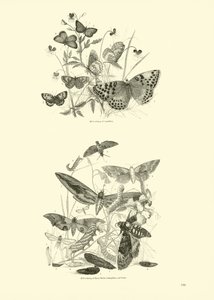 Página de The Pictorial Museum of Animated Nature