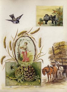Página do final do livro de recortes vitoriano (multimídia)