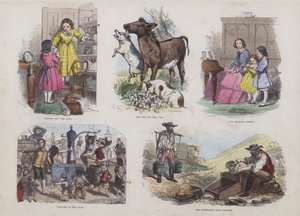 Página do Livro de Imagens Atraente (gravação a cores) de English School