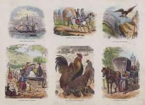 Página do Livro de Imagens Atraente (gravação a cores) de English School