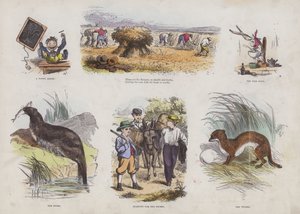 Página do Livro de Imagens Atraente (gravação a cores) de English School