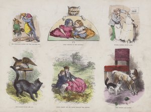 Página do Livro de Imagens Atraente (gravação a cores) de English School