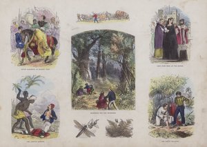 Página do Livro de Imagens Atraente (gravação a cores) de English School