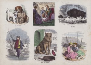 Página do Livro de Imagens Atraente (gravação a cores) de English School