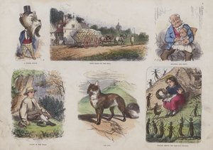 Página do Livro de Imagens Atraente (gravação a cores) de English School
