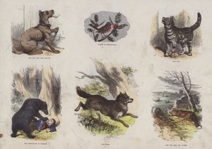 Página do Livro de Imagens Atraente (gravação a cores) de English School