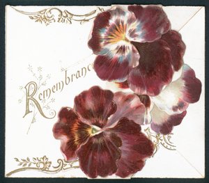 Pansies, cartão da relembrança de English School