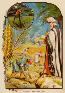 Parábolas, Trigo e Taras (cor litho) de English School