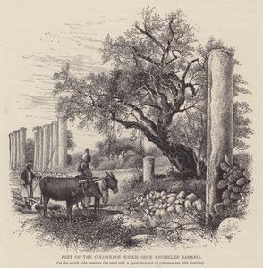 Parte do Colonnade que uma vez circundou Samaria (gravura) de English School