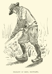 Camponês de Riec, Bretanha de English School