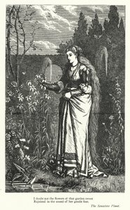 Percy Bysshe Shelley: Ilustração para A Planta Sensível (gravura) de English School