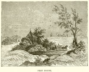 Casa de pragas