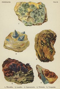 Fosfatos, wavellite, lazulite, cuprouranite, vivianite, turquesa (cor litho) de English School