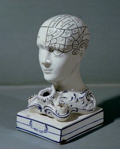 Cabeça frenológica pelo Dr. Frederick Bridges (porcelana)