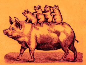 Porco com seus leitões, ilustração de Coles engraçado Picture Book (imagem digital reforçada) de English School