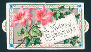 Lírios cor-de-rosa, cartão de Natal de English School