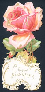 Rosa cor-de-rosa, cartão do ano novo de English School