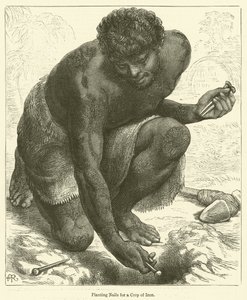 Plantação de pregos para uma cultura de ferro (gravura) de English School