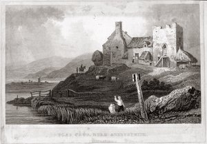 Plas Crug, perto de Aberystwyth, Cardiganshire (gravura) de English School