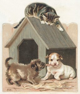 Filhotes de cachorro brincalhão e gatinho, cartão de Natal de English School