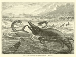 Plesiosaurus e Ichthyosaurus de English School