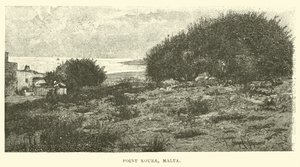Point Koura, Malta de English School