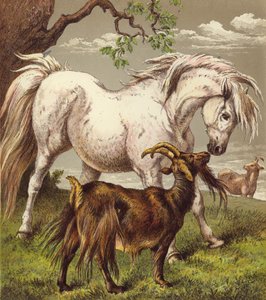 Pónei e cabras (cor litho) de English School