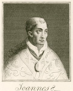 Papa João VIII de English School