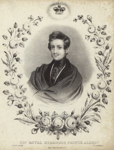 Retrato de Albert, o príncipe consorte de English School