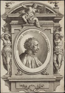 Retrato, de, pintoricchio de English School