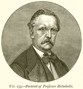 Retrato do Professor Helmholtz de English School