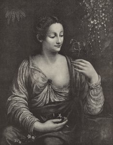 Retrato de uma jovem senhora de English School