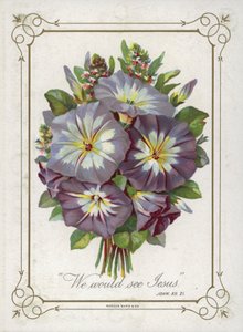 Posy de flores de English School