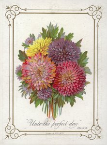 Posy de flores de English School