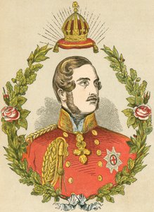 Prince Albert de English School