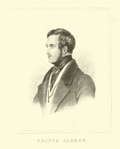 Prince Albert de English School