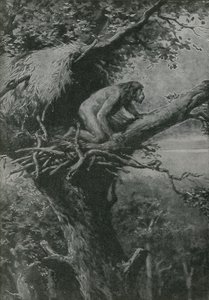 Provavelmente arborícola - retratado pela RLS de English School