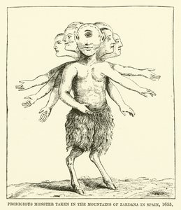 Monstro prodigioso tomado nas montanhas de Zardana na Espanha, 1655 de English School