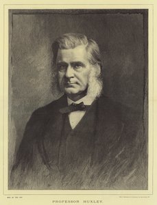 Professor Huxley (gravura) de English School
