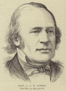 Professor L J R Agassiz (gravura) de English School