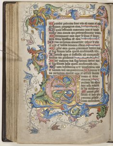 Psalter com calendário de uso Sarum, c.1425-75 (tinta, tinta e ouro sobre velino) de English School