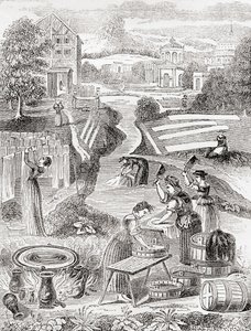 Lavadouros públicos de English School