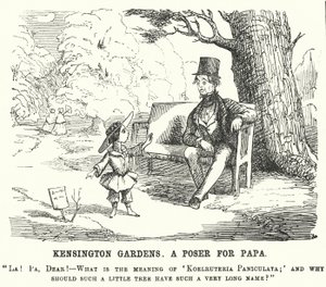 Punch cartoon: criança a fazer uma pergunta ao pai em Kensington Gardens, Londres (gravura) de English School