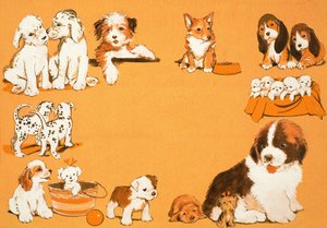 Cachorros de English School