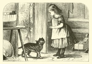 Gato De Buceta, Gato De Buceta de English School