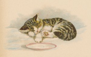 Gato de cona (chromolitho) de English School