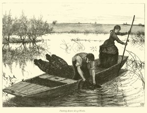 Derrubando Grig-Weels de English School