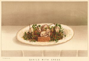 Codornizes com agriões (cor litho) de English School