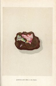 Opala de Queensland na matriz, de "Precious Stones and Gems" de Edwin Streeter, Londres, George Bell & Sons de English School