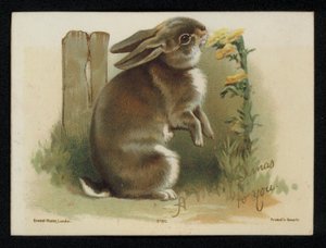 Coelho a comer flores amarelas, cartão de boas festas de Natal. (chromolitho) de English School